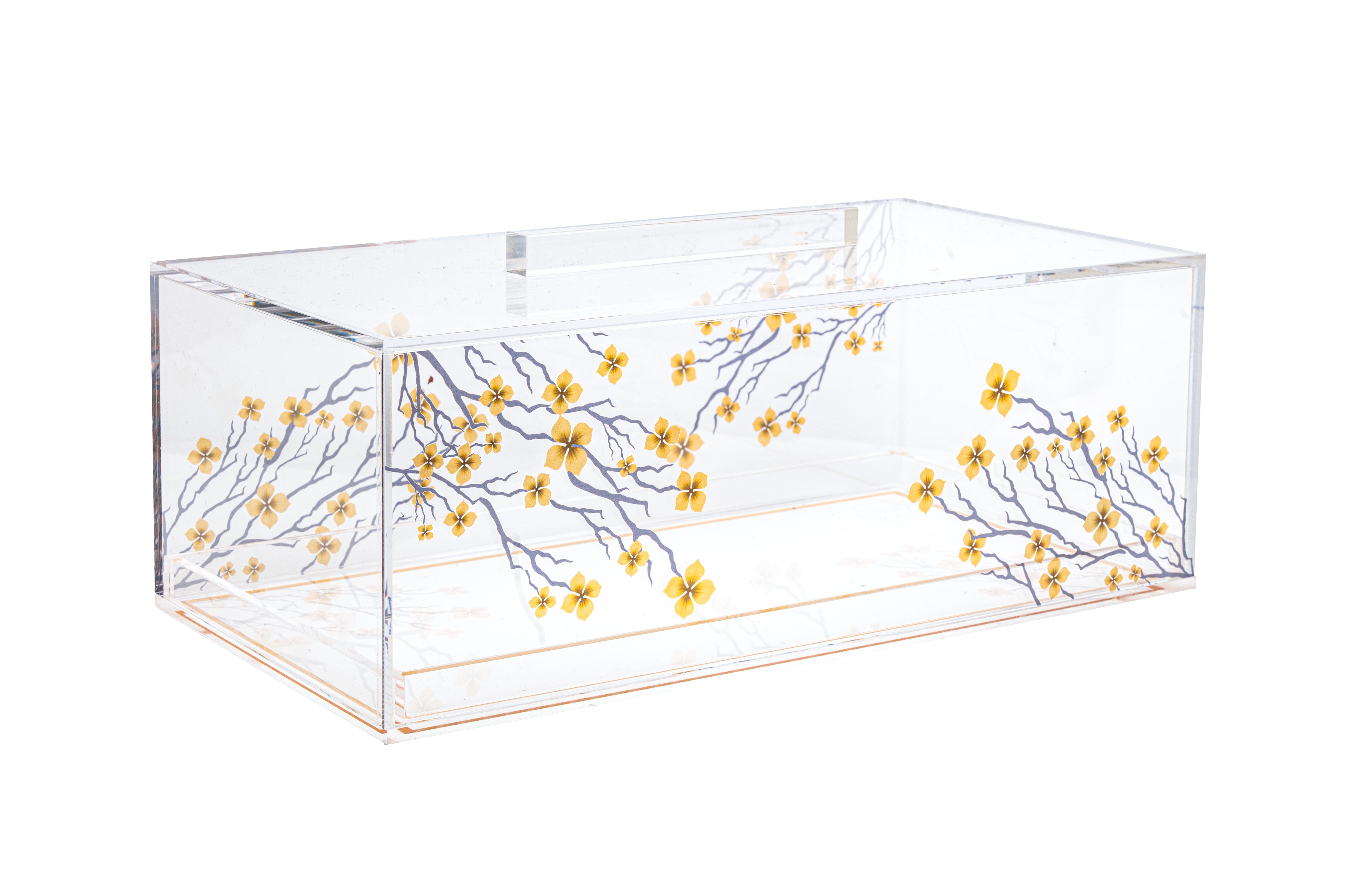 Lucite cake box